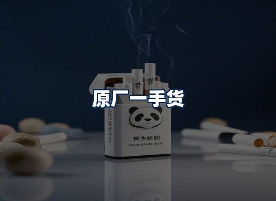 专业团队办公环境